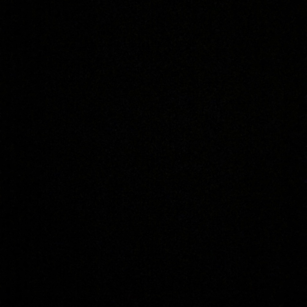 Meet your Posher, Nellie